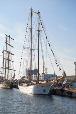 Varna, Bulgaristan - 02 Ekim: Uluslararası Regatta Scf Karadeniz Uzun Gemiler Regata 2016.