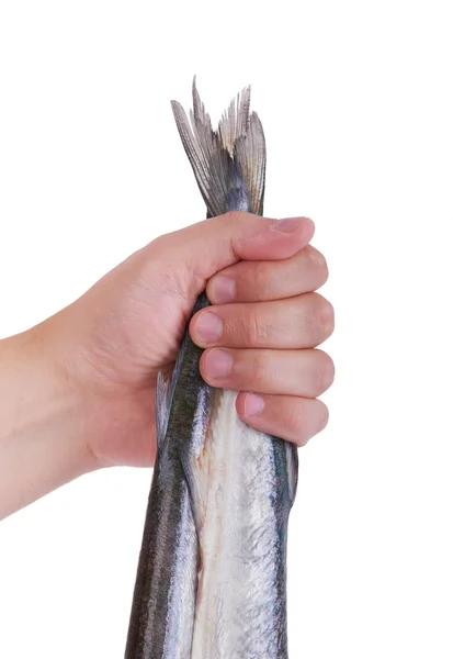 Gar fish. Man's hand holding a fish, background. — Stock Photo, Image