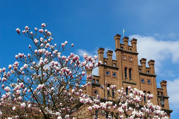 Chernivtsi Ulusal Üniversitesi.