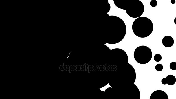 6 différentes transitions de lingette .