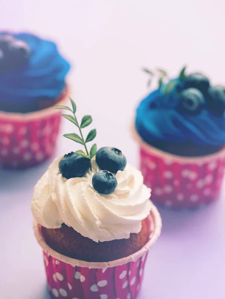 Cupcake con primer plano de bluberry —  Fotos de Stock