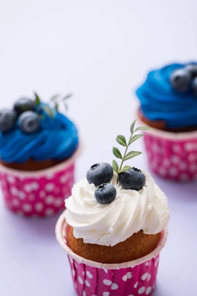 Cupcake con primer plano de bluberry —  Fotos de Stock