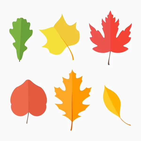Conjunto de folhas de outono isolado no fundo branco — Vetor de Stock
