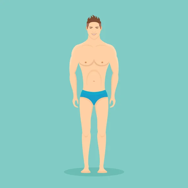 Full length man in swimming trunks isolated on background. — Stock Vector