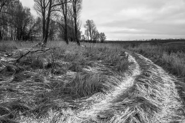Doğa siyah ve beyaz