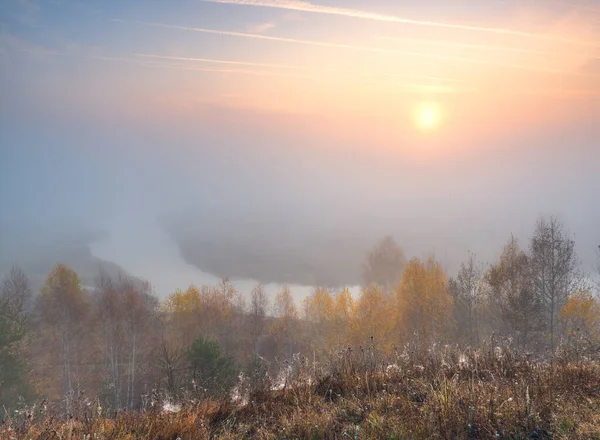 Fog Sunrise Trees Fog Forest Fog Fog River Misty Morning — Stock Photo, Image