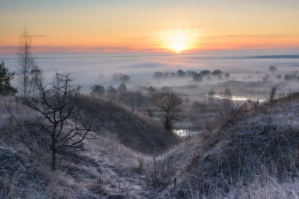 日の出の霧 霧の中の木霧の中の森川の上の霧 霧の朝だロシアの霧霜の朝 霧と朝の霜 秋の朝 — ストック写真