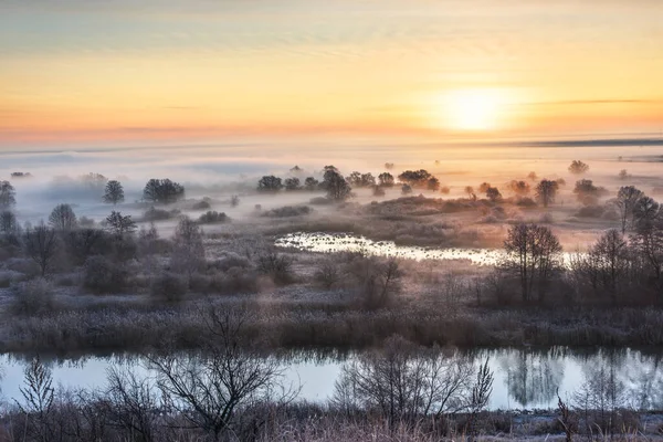 Tåke Ved Soloppgang Trær Tåke Skogen Tåken Tåke Elven Misty – stockfoto