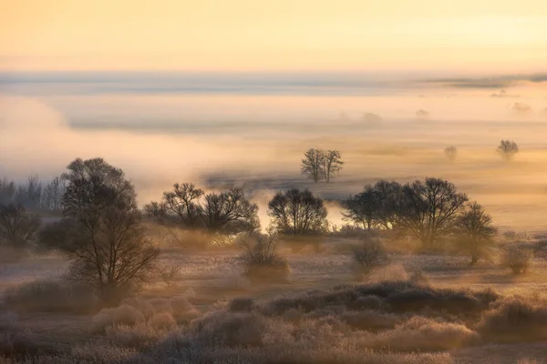 Fog at sunrise. Trees in fog. Forest in fog. Fog above the river. Misty morning. Russian fog.Frosty morning,Morning frost with fog.Autumn morning.