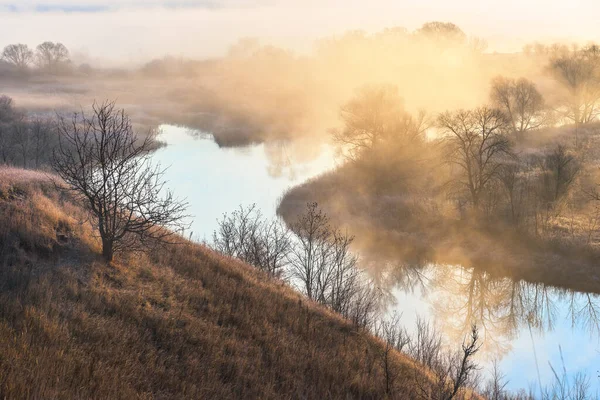 日の出の霧 霧の中の木霧の中の森川の上の霧 霧の朝だロシアの霧霜の朝 霧と朝の霜 秋の朝 — ストック写真