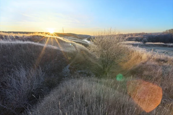 Morgenfrost Gresset Morgenfriskhet Den Kalde Elven Frost Åsene Frost Trærne – stockfoto