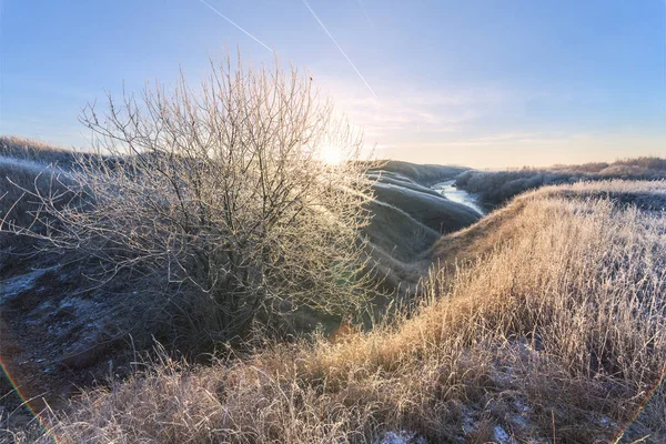 草の上の朝の霜 冷たい川の朝の新鮮さ丘の上の霜 木の上の霜 川のしきい値 ジューシードーン色 秋の霜 川の氷 — ストック写真