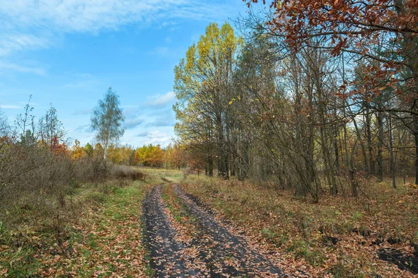 Autumn landscape with a river. Yellow leaves, river, autumn forest, hills, autumn, September, October. Russian landscape in autumn. Autumn in Russia.Sunny autumn day.autumn mood.rest at nature.Autumn Walk