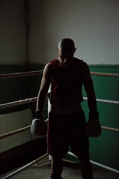 Retrato de boxeador masculino de pie en la esquina del anillo, espalda — Foto de Stock