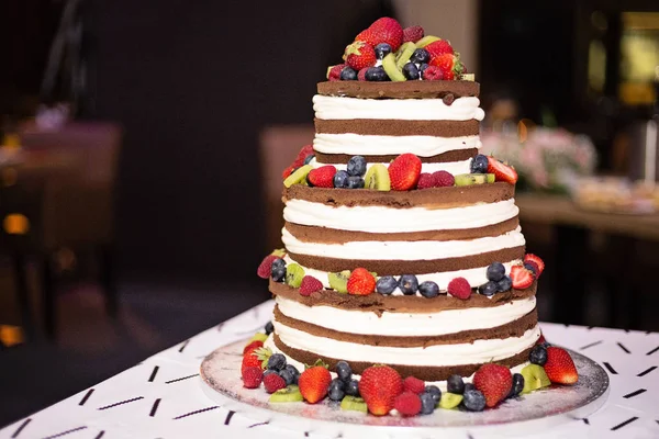 Nacktschichtiger Schokoladenkuchen mit Früchten — Stockfoto