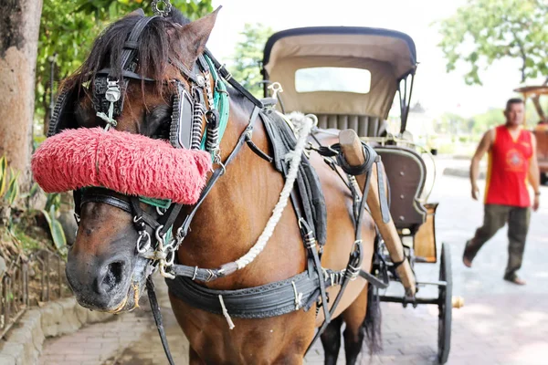 Bir at arabası sokakta Manila, Filipinler