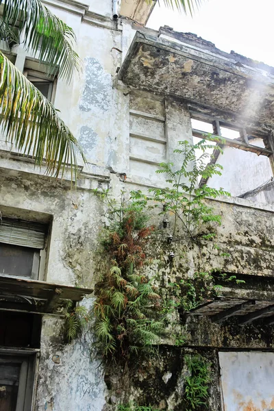 Detalle del edificio abandonado, pared exterior mohosa y agrietado, trapo — Foto de Stock