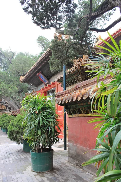 Detalj av arkitekturen i imperial garden, förbjudna staden, Palace Museum, Beijing, Kina — Stockfoto