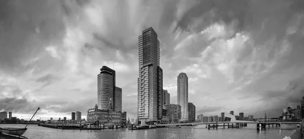 City Landscape, black-and-white panorama - view of skyscrapers and harbor in the district Feijenoord, city of Rotterdam, The Netherland