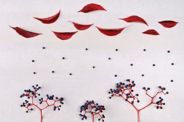 Beyaz zemin üzerinde yatıyordu düz renkli sonbahar yaprakları. Sezon duvar kağıdı, kartpostal arka plan. En az kavramı