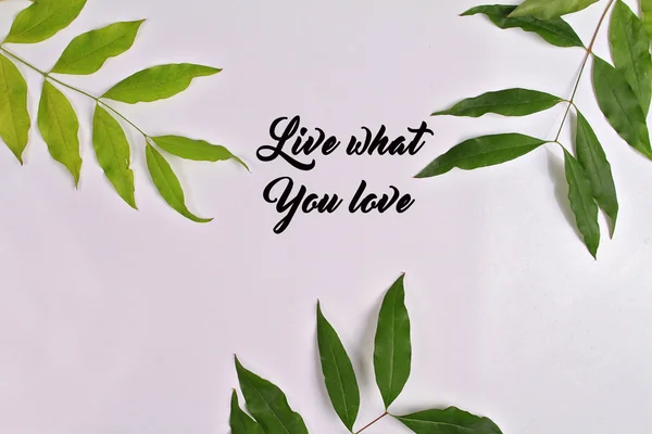 Inspiration motivation quote Live what you Love. Life, Success, Dream, Happiness concept — Stock Photo, Image