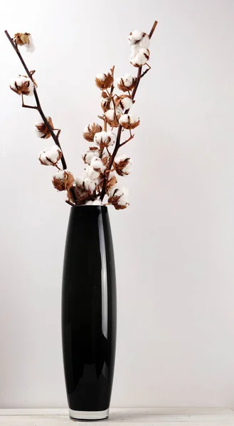 Baumwollpflanzenblütenzweig in der Vase. moderner, gemütlicher Wohnstil — Stockfoto