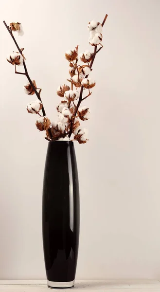 Bavlny rostlina květ větev ve váze. Moderní a útulný domov dekorační styl — Stock fotografie