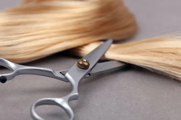 Stylish Professional Barber Saks, Hårklipp og tynne sakser på lys grå bakgrunn. Frisørsalong-konsept, frisørsett. Hårklippetilbehør . – stockfoto