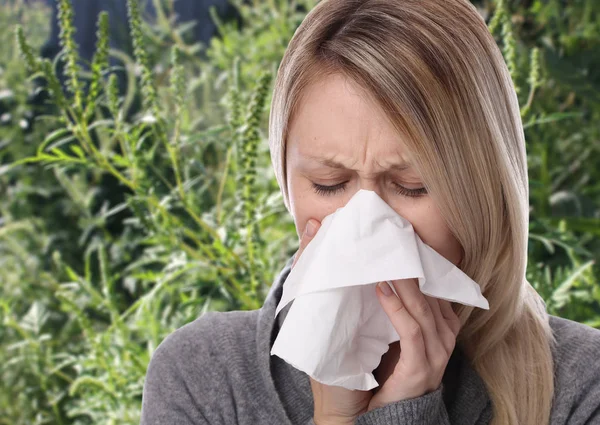 Аллергия на пыльцу, лето амброзии артемизиифолии. Женщины чихают в тканях — стоковое фото