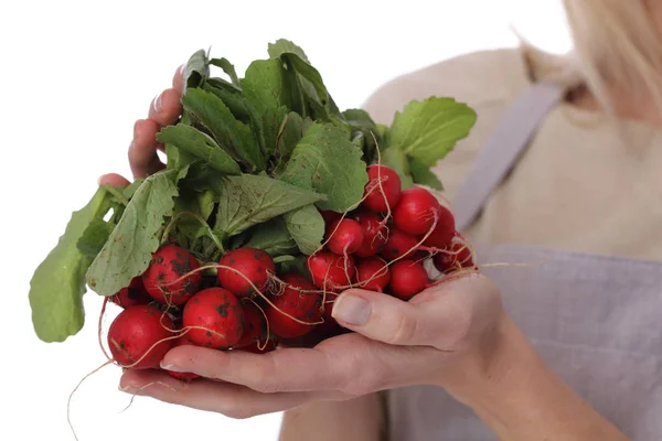 Woman holding Fresh organic radishes close up. Healthy eating and lifestyle concept — Stock Photo, Image