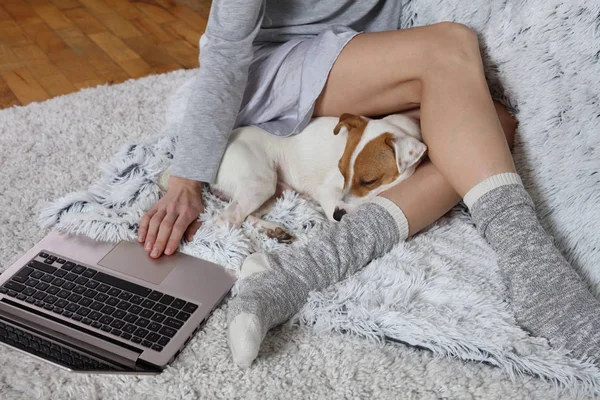 Kobieta w przytulnym domu nosić relaks w domu, ze snem pies Jack Russel Terier, za pomocą laptopa. Miękkie, wygodne styl życia. — Zdjęcie stockowe