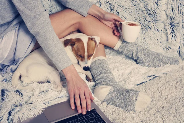 Жінка в затишному домашньому одязі розслабляється вдома, використовуючи ноутбук. М'який, зручний спосіб життя . — стокове фото