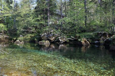 Doğa manzara. Temiz ve berrak su dağ nehir.