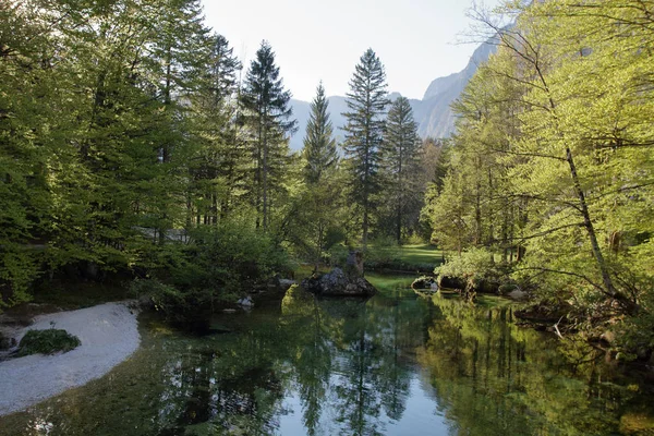 Přírodní krajina. Čisté a křišťálově čistá voda v horské řece. — Stock fotografie