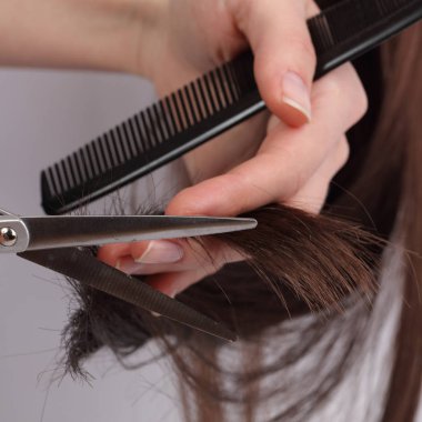 Arka plan gri şık profesyonel kuaför makası, saç kesme ve inceltme makası ışık üzerinde. Kuaför Salonu konsept, Kuaförlük ayarla. Saç aksesuarları.