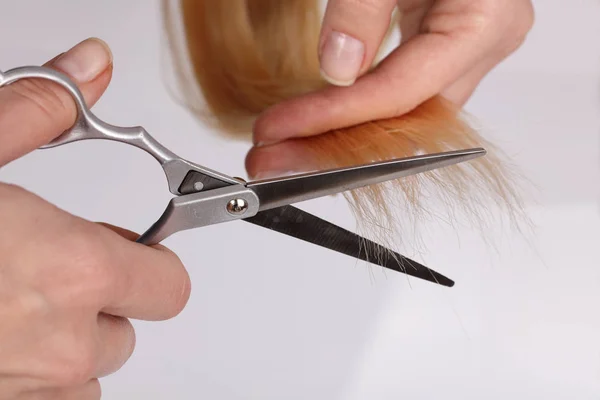 Tijeras de peluquería profesional con estilo, corte de pelo y tijeras de adelgazamiento sobre fondo gris claro. concepto de salón de peluquería, conjunto de peluquería. Accesorios de corte de pelo . — Foto de Stock