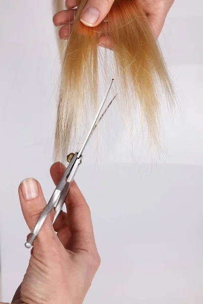 Tijeras de peluquería profesional con estilo, corte de pelo y tijeras de adelgazamiento sobre fondo gris claro. concepto de salón de peluquería, conjunto de peluquería. Accesorios de corte de pelo . — Foto de Stock