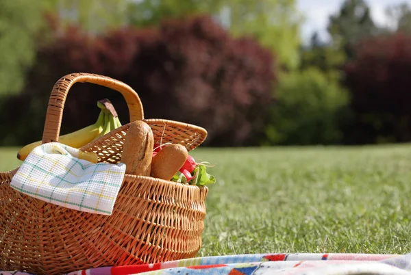 Cesta de picnic con comida saludable y manta sobre hierba verde en el parque, la naturaleza. Almuerzo al aire libre, Tiempo para relajarse, Ocio Concepto de estilo de vida — Foto de Stock