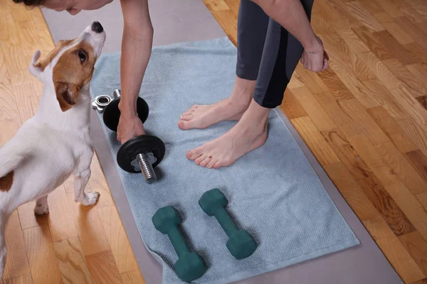 Young woman doing fitness exercises with dog wathing her. Felmale Home Dumbbell Workout .