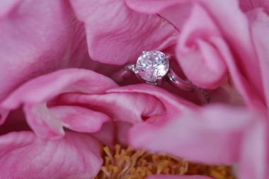 Gül çiçek gizli elmas yüzük. Nişan, evlenme teklifi, düğün, evlilik kavramı. Sürpriz Sevgililer günü hediyesi