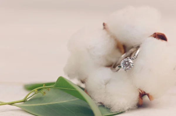 Diamond ring hidden in flower. Engagement, Wedding, Proposing, Marriage concept. Surprise St. Valentine day present