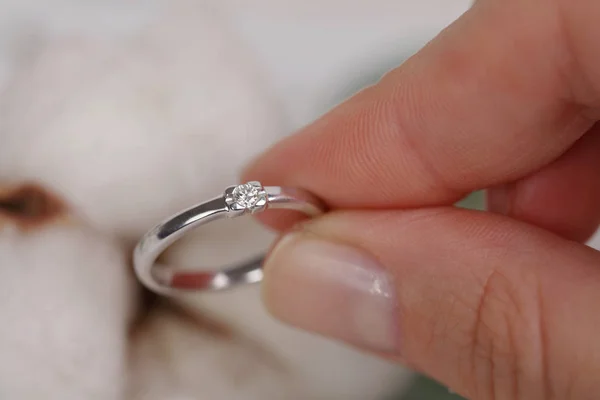 Verlovingsring in handen van de bruid. Vrouw bedrijf sieraden close-up. Liefde, huwelijk, voorstelt, huwelijk concept. — Stockfoto