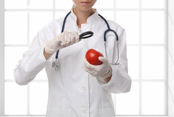 Ciência alimentar, conceito de OGM food. Cientista que inspeciona a amostra de tomate no laboratório — Fotografia de Stock