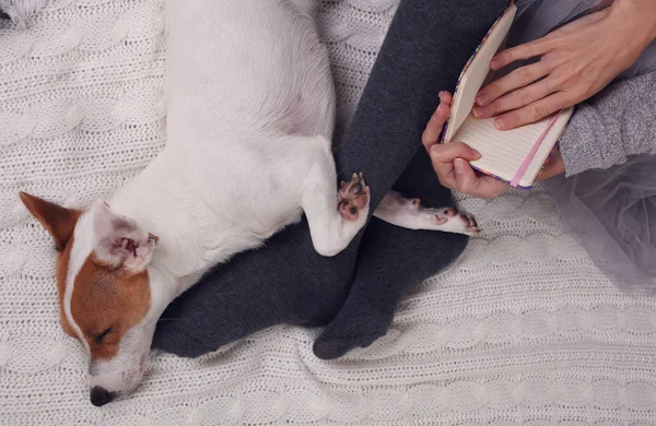 Hari malas yang nyaman di rumah. Wanita yang mengenakan kaus kaki wol hangat lembut santai di rumah, bermain dengan anjing, jack Russel terrie Relaxing, gaya hidup yang nyaman . — Stok Foto