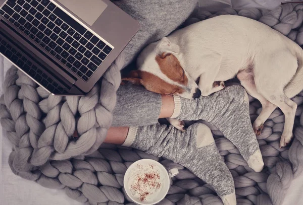 Cozy home, warm blanket, hot drink, movie night. Dog sleeping on female feet. Relax, carefree, comfort lifestyle.