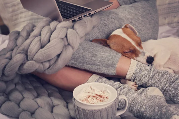 Gezellige huis, warme deken, warme dranken, film van de nacht. Hond slapen op vrouwelijke voeten. Ontspannen, zorgeloos, comfort levensstijl. — Stockfoto