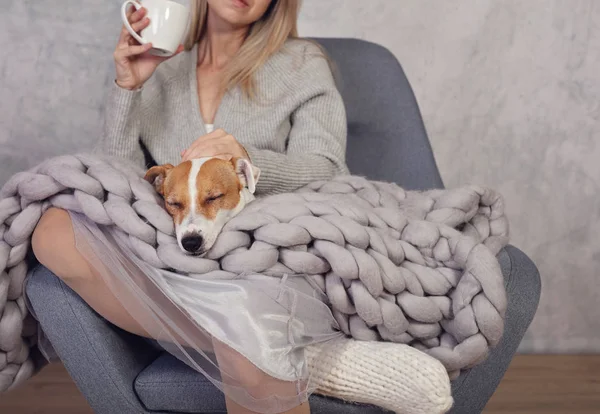 Mujer en ropa de casa acogedora relajarse en casa con el perro dormido Jack Russel Terrier, beber cacao, estilo de vida cómodo . —  Fotos de Stock