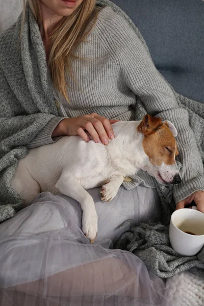 Γυναίκα σε ζεστά ρούχα στο σπίτι χαλαρώνοντας στο σπίτι με το σκυλί ύπνου Jack Russel Terrier, πίνοντας καφέ, Comfy lifestyle. — Φωτογραφία Αρχείου