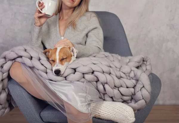 穿着舒适的家居服的女人和睡狗杰克 · 罗素 · 特里埃一起在家里放松，喝可可，享受舒适的生活. 图库图片