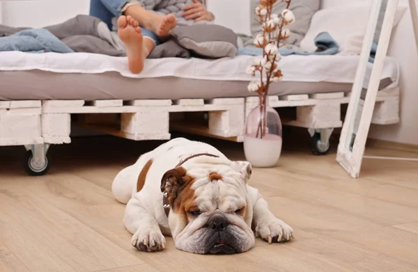 Relaja los pies después de todo el día caminando. Descalza mujer y perezoso atado perro en casa — Foto de Stock